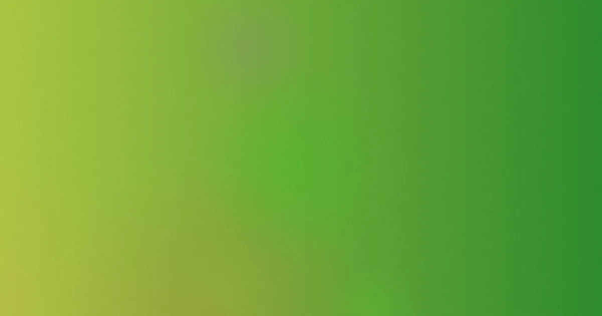 不纽扣女孩对比：一次选读复盘